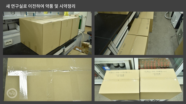 포장이사
